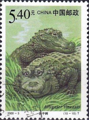 Colnect-2097-894-Chinese-Alligator-Alligator-sinensis.jpg