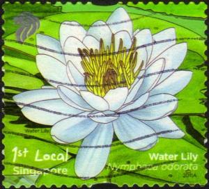Colnect-2470-170-Water-Lily-Nymphaea-odorata.jpg