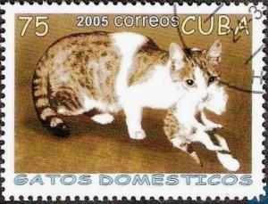 Colnect-2556-905-Domestic-Cat-Felis-silvestris-catus-with-Puppy.jpg