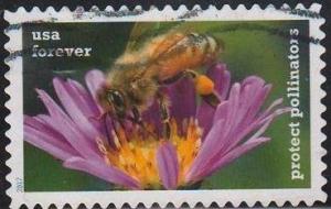 Colnect-4367-472-Protect-PollinatorsBee-on-Aster-Flower.jpg