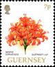 Colnect-5564-768-Guernsey-Lily---Nerine-sarniensis.jpg