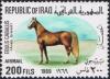 Colnect-1536-111-Arabian-Stallion-Equus-ferus-caballus.jpg