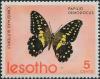 Colnect-1730-034-Citrus-Swallowtail-Papilio-demodocus.jpg