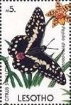 Colnect-2856-106-Citrus-Swallowtail-Papilio-demodocus.jpg