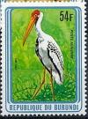 Colnect-3097-639-Yellow-billed-Stork-Mycteria-ibis.jpg