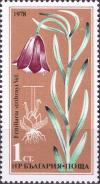 Colnect-4209-172-Fritillaria-stribrnyi-Vel.jpg