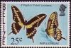 Colnect-455-118-King-Swallowtail-Papilio-thoas.jpg
