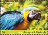 Colnect-4737-352-Blue-and-yellow-Macaw----Ara-ararauna.jpg
