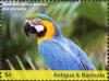 Colnect-4737-354-Blue-and-yellow-Macaw----Ara-ararauna.jpg