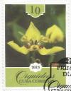 Colnect-5485-960-Yellow-green-orchid.jpg