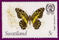 Colnect-1706-371-Citrus-Swallowtail-Papilio-demodocus.jpg