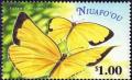 Colnect-2610-640-Large-Grass-Yellow-Eurema-hecabe-ssp-aprica.jpg