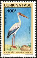 Colnect-2631-902-Yellow-billed-Stork-Mycteria-ibis.jpg