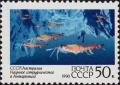 Colnect-4828-955-Krill-sp-Euphausia-sp.jpg