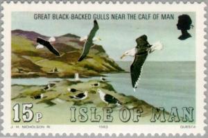 Colnect-124-510-Great-Black-backed-Gull-Larus-marinus-Island-Calf-of-Man.jpg