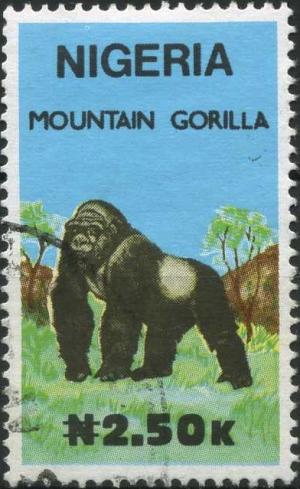 Colnect-2333-840-Mountain-Gorilla-Gorilla-beringei-beringei.jpg