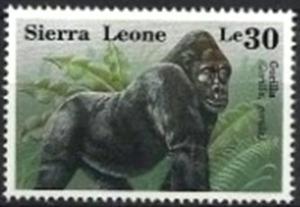 Colnect-4221-183-Gorilla-Gorilla-gorilla.jpg