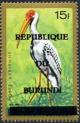 Colnect-1430-592-Yellow-billed-Stork-Mycteria-ibis.jpg