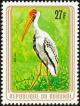 Colnect-3097-630-Yellow-billed-Stork-Mycteria-ibis.jpg