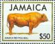Colnect-3690-196-Jamaica-Red-Poll-Bull-Bos-primigenius-taurus.jpg