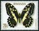 Colnect-6278-099-Citrus-Swallowtail-Papilio-demodocus.jpg
