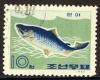 Colnect-979-282-Chum-Salmon-Oncorhynchus-keta.jpg