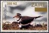 Colnect-1145-175-Three-banded-Plover-Afroxyechus-tricollaris.jpg