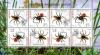 Colnect-1280-421-Great-Raft-Spider-Dolomedes-plantarius-Ladybird-Spider-E.jpg