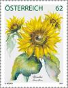 Colnect-2021-145-Sunflower-Helianthus-sp.jpg