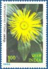 Colnect-573-361-Himalayan-Flowers--Inula-grandiflora.jpg