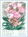 Colnect-175-062-Flowers--Oleander.jpg