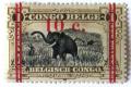 Colnect-553-784-African-Elephant-Loxodonta-africana---overprinted.jpg