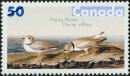 Colnect-2985-130-Piping-Plover-Charadrius-melodus.jpg