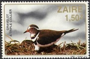 Colnect-1115-019-Three-banded-Plover-Afroxyechus-tricollaris.jpg