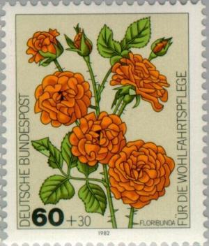 Colnect-153-315-Floribunda-Roses.jpg
