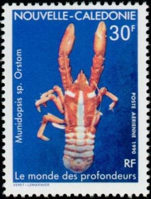 Colnect-1803-682-Squat-Lobster-Munidopsis-sp.jpg