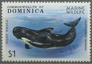 Colnect-1836-166-Long-finned-Pilot-Whale-Globicephala-melaena.jpg