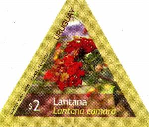 Colnect-2043-590-Flowers---Lantana.jpg