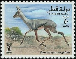 Colnect-2189-042-Beira-Antelope-Dorcatragus-magalotis.jpg