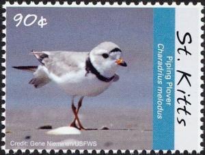 Colnect-3742-842-Piping-Plover-Charadrius-melodus.jpg