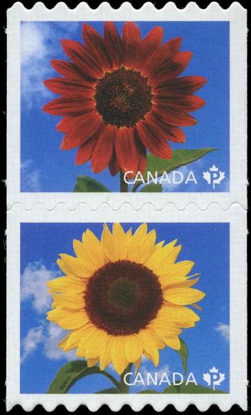 Colnect-3101-849-Sunflowers-vertical-pair.jpg