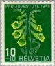 Colnect-139-893-Yellow-Foxglove-Digitalis-grandiflora.jpg