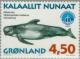 Colnect-158-633-Long-finned-pilot-whale-Globicephala-melas.jpg