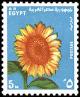 Colnect-2275-361-Sunflower-Helianthus-sp.jpg