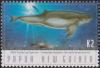 Colnect-3132-691-Irrawaddy-Dolphin-Orcaella-brevirostris.jpg
