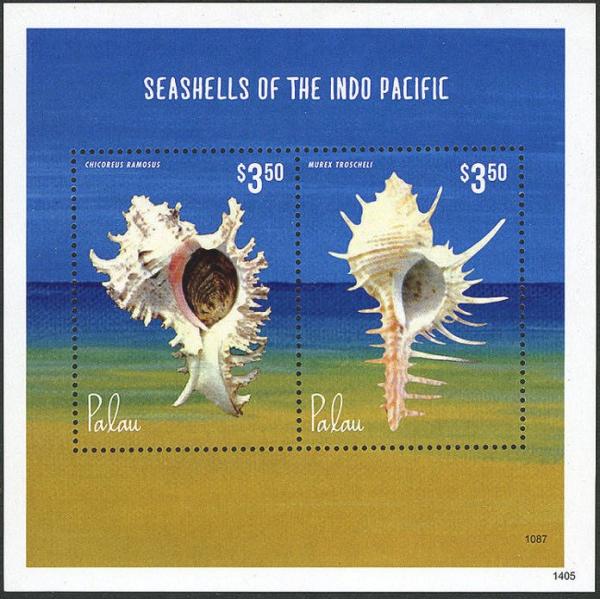 Colnect-4992-592-Seashells-of-the-Indo-Pacific.jpg