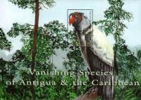 Colnect-3911-507-King-Vulture-Sarcoramphus-papa.jpg
