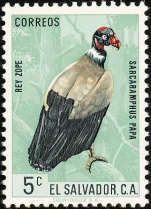 Colnect-1102-144-King-Vulture-Sarcoramphus-papa.jpg