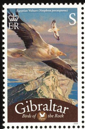 Colnect-2172-213-Egyptian-Vulture-Neophron-percnopterus.jpg