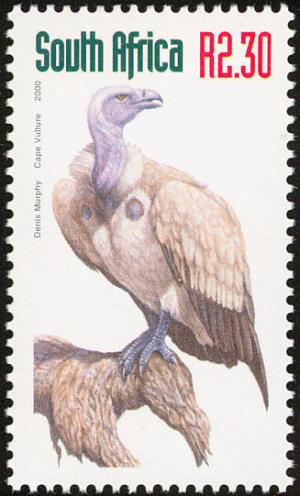 Colnect-675-271-Cape-Vulture-Gyps-coprotheres.jpg